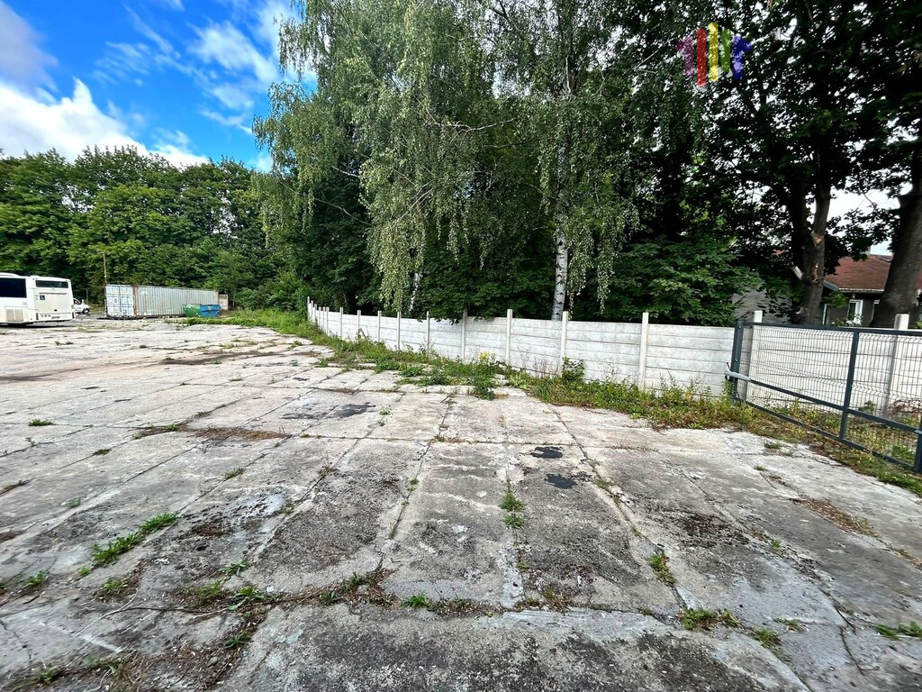Lokal Wynajem Wałbrzych Stary Zdrój Stefana Batorego